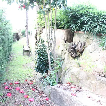 Quinta Dos Amores Ponte de Lima Exterior photo