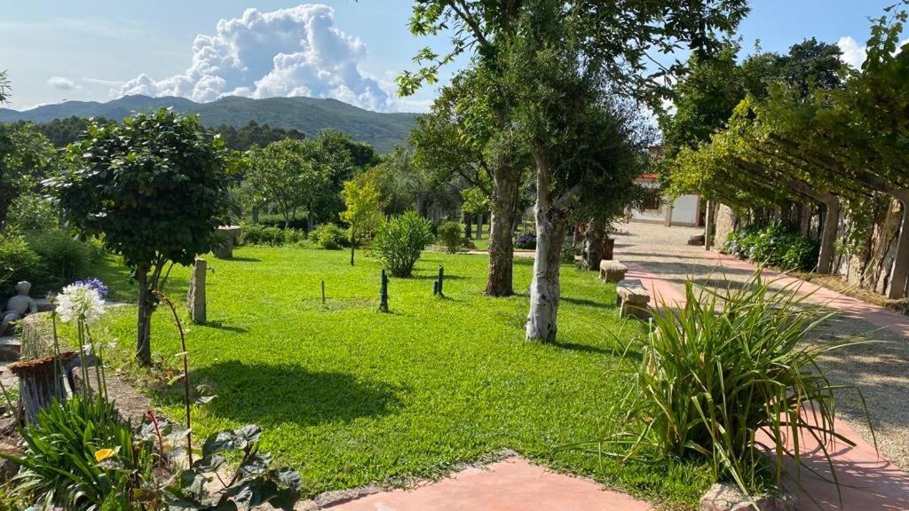 Quinta Dos Amores Holiday home Ponte de Lima